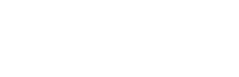 Arnold Systems